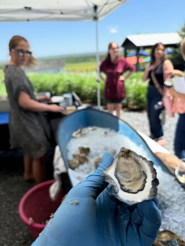 Revival Oysters — Dozen